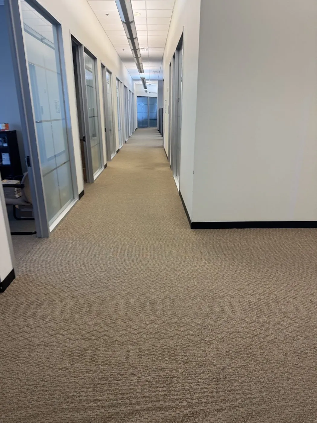 Clean office hallway carpet running past glass-fronted offices in Dallas-Fort Worth