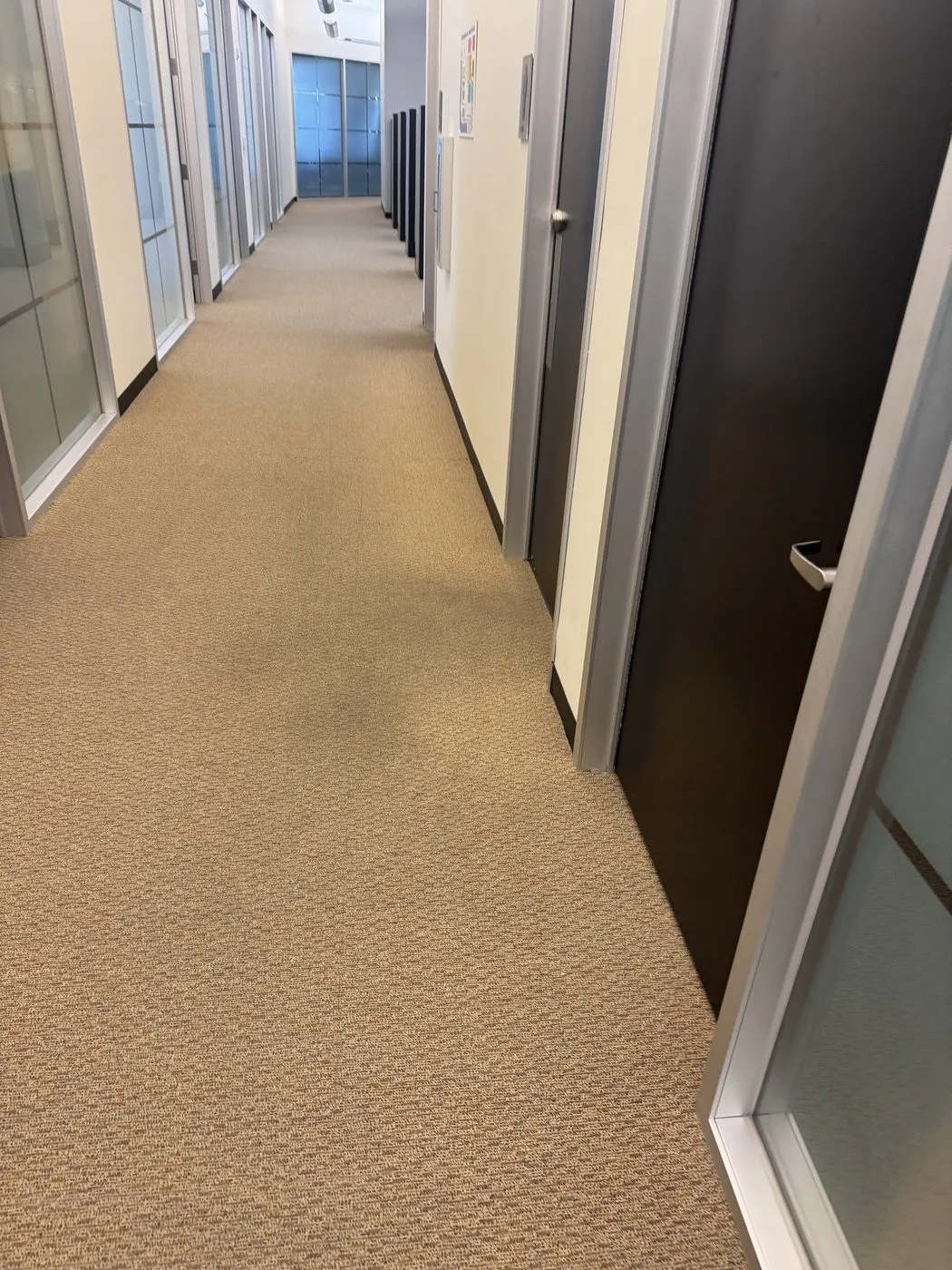 Open office area with clean carpet in a Dallas-Fort Worth workplace
